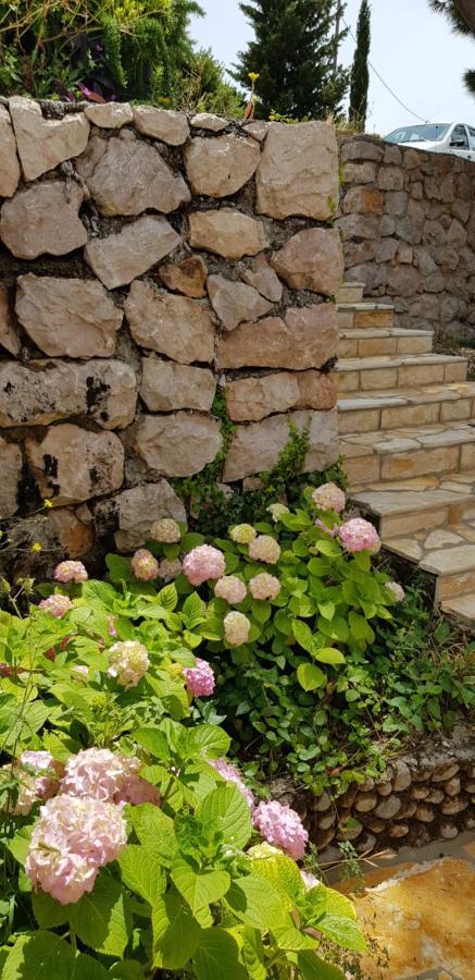 Villa Kuca Za Odmor Jelena Starigrad Paklenica Esterno foto