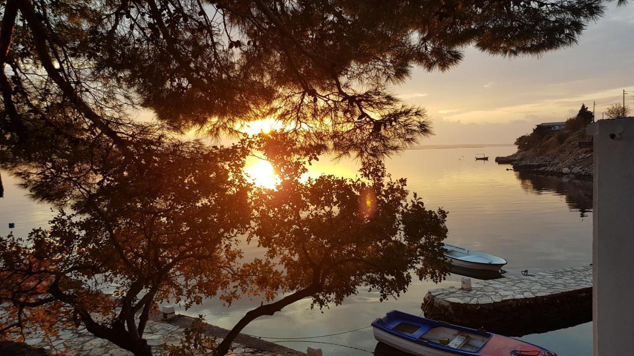 Villa Kuca Za Odmor Jelena Starigrad Paklenica Esterno foto